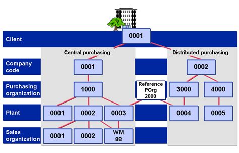 purchasing organization in sap|no purchasing organization data exists.